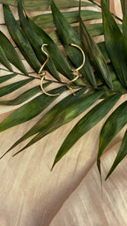 Calyma